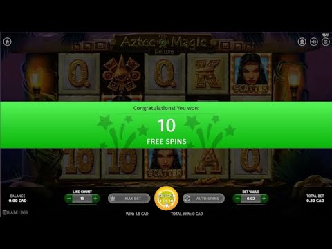 Wild Fortune Casino No Deposit Bonus Free Spins