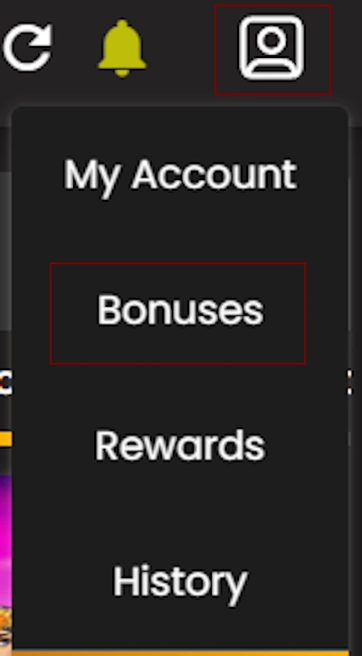 profile and bonuses section