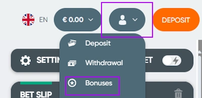 casino profile and bonuses section