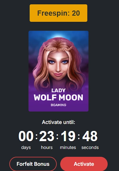 CasinoChan free spins bonus activation