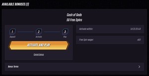 WinRolla Casino No Deposit Bonus Activation