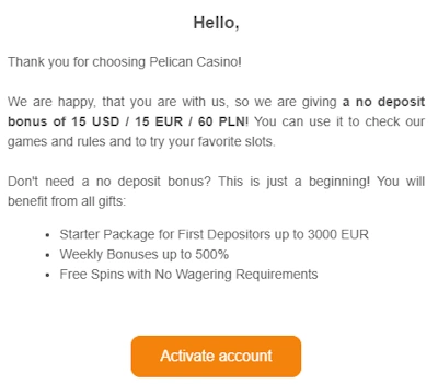 Email Verification Step