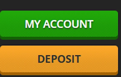 Playamo Casino profile section