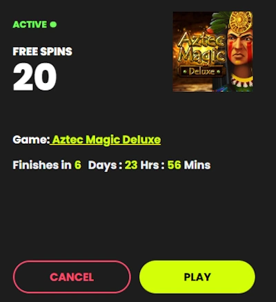 Mastering Spin Samurai Bonus Mathematics: The Official Wagering Manual 1 Spin Samurai Casino bonus offer interface showing free spins reward