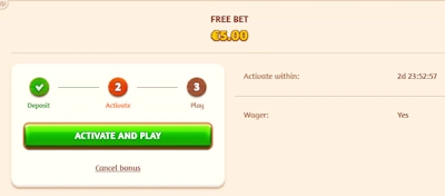 BillyBets Casino no deposit bonus activation