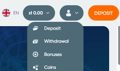 profile and bonuses section