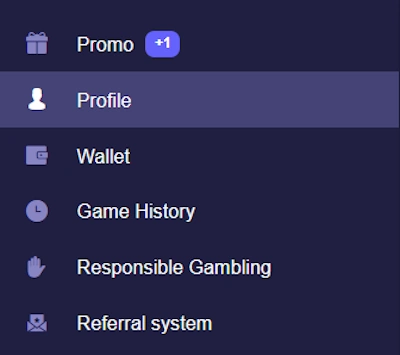 promotion section and bonus location