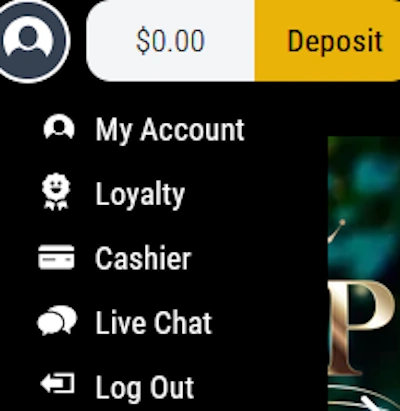 Lake Palace Casino profile section