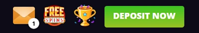 Royal Ace Casino deposit section