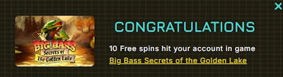 Winity Casino no deposit free spins bonus