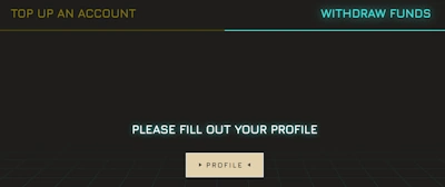 Winity Casino profile section and personal information updating