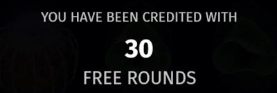 free rounds at eligible slot