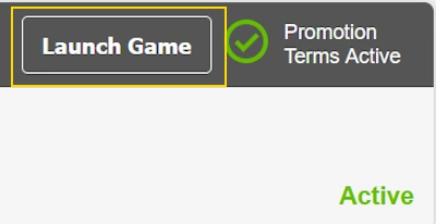 launch game button to start playing