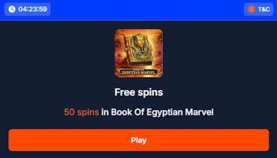 FS Casino no deposit free spins activation
