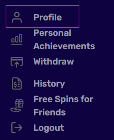 Magic365 Casino profile section