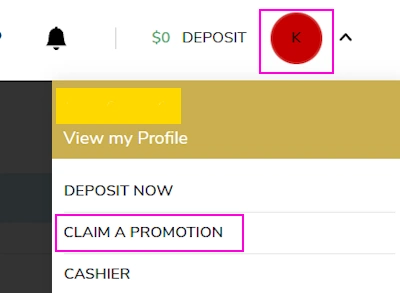 profile section and no deposit bonus location
