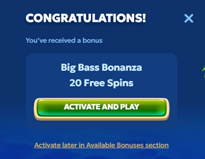 Pandido Casino no deposit free spins bonus activation