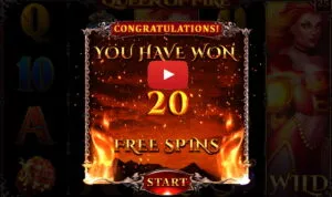 Viking Spin Casino No Deposit Bonus 20 Free Spins